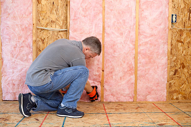 Eco-Friendly or Green Insulation Solutions in Tuscumbia, AL