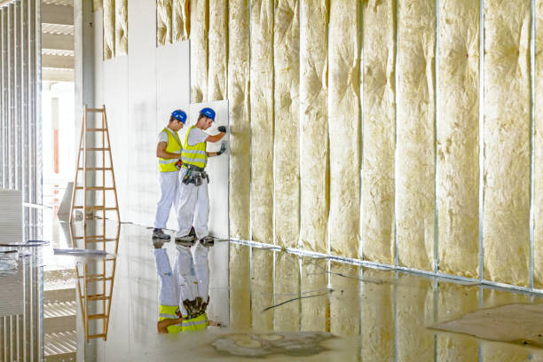 Types of Insulation We Offer in Tuscumbia, AL